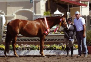 Chelsea Samuels and Adele Reserve Champion 3'3" Amateur Owner Hunter 18-35 2014 Del Mar National Photo Osteen