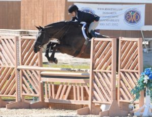 Laura Wasserman and Thoughtful Amateur Owner Hunter 36 & Over 2013 HITS Desert Circuit Photo Flying Horse