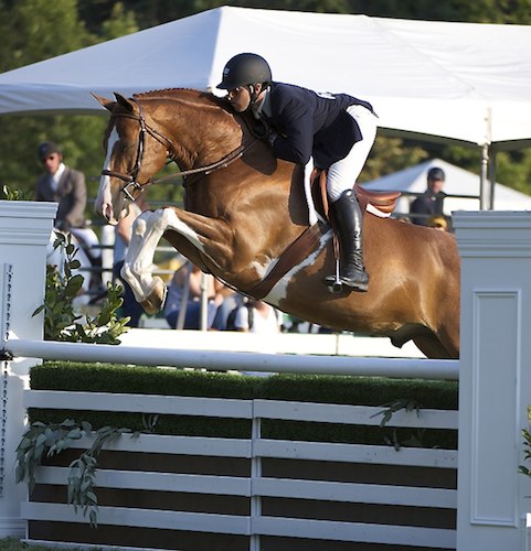 Nick Haness and Ecole Lathrop's Banderas Winner $10,000 USHJA Hunter Derby 2014 Menlo Charity Photo Alden Corrigan