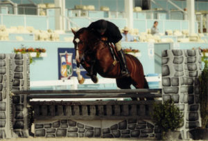 Archie Cox and Cullen owned by Annette Peterfy 1st Year Green Hunters 2010 Devon Horse Show Photo JL Parker