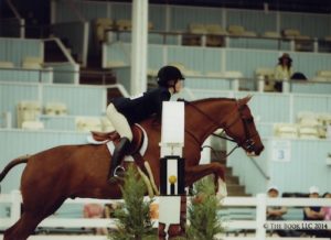 Hunter Siebel and Krave owned by Mountain Home Stables Small Junior Hunter 15 & Under 2014 Devon Horse Show Photo The Book LLC