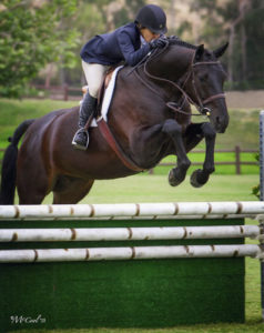 Laura Wasserman and Thoughtful Amateur Owner Hunter 3'3" 2013 Blenheim June Photo Amy McCool