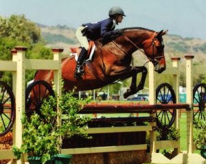 Lucy Davis and Harmony Large Junior Hunter 2006 Oaks Blenheim Photo by JumpShot