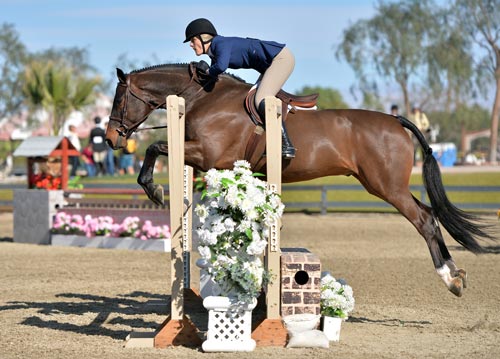 Montana Coady and Ranger Champion Amateur Owner Hunter 18-35 2015 HITS Desert Circuit Photo ESI