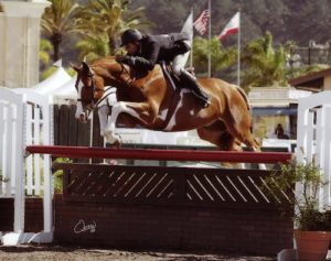 Nick Haness and Ecole Nauber's Banderas Champion High Performance Hunter_2014 Del Mar National Photo Osteen