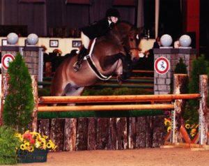 Ashley Pryde and Truly Large Junior Hunters 125th National Horse Show at Syracuse Invitational 2008 Photo Reflections