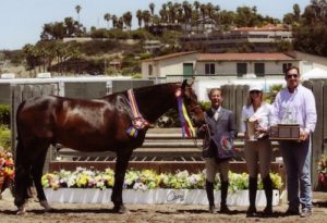John French and Montana Coady's Carma Champion Regular Conformation Hunter 2014 Del Mar National Photo Osteen