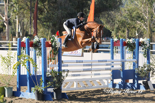 Lily Blavin and Sander Large Junior Hunter 15 & Under 2013 HITS Desert Circuit Photo Flying Horse