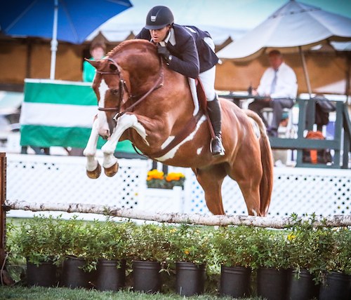 Nick Haness and Banderas owned by Ecole Lathrop Winner $10,000 USHJA Hunter Derby 2014 Menlo Charity Horse Show Photo by Erin Gilmore for Horse and Style Magazine