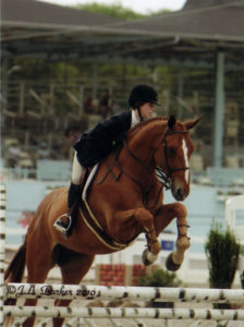Gabbi Langston and Azian owned by Fastball Farm Large Junior Hunters 16-17 2010 Devon Horse Show Photo JL Parker