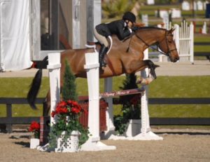 Laura Wasserman and Back in the Game Reserve Champion Amateur Hunters 36 and Over 2011 HITS Desert Circuit Photo Flying Horse Photography