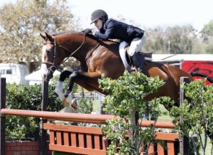 Laura Wasserman and Fine Design 2014 Blenheim Fall Tournament Amateur/Owner Hunter 18 & Over Photo by Captured Moment Photography