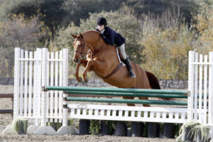 Lily Blavin and Pringle Small Junior Hunter 15 and Under 2013 Blenheim Spring Photo Captured Moment Photography