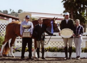 Nick Haness and Banderas owned by Ecole Nauber Champion High Performance Hunter 2014 Del Mar National Photo Osteen