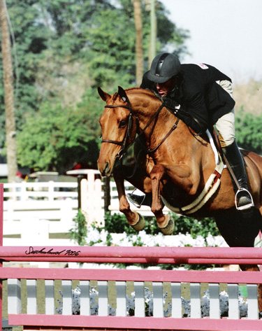 Archie Cox and Show of Hands 2006 HITS Desert Circuit First Year Green Working Hunters Photo Flying Horse