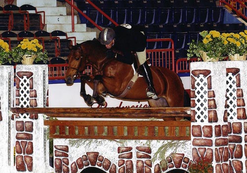 Archie Cox and White Oak owned by Delanie Stone Regular Conformation Champion 2007 Pennsylvania National Photo Randi Muster