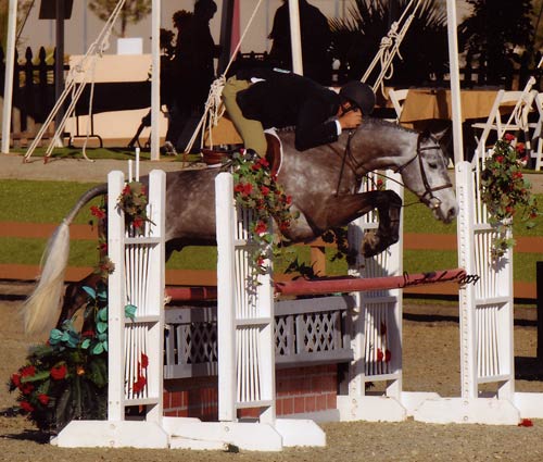 Archie Cox on Glenview owned by Stephanie Danhakl Champion Green Conformation Hunters 2009 HITS Desert Circuit Photo Flying Horse