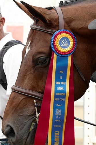 Boss owned by Laura Wasserman Small Junior Hunter 16-17 Overall Grand Champion 2017 US Junior Hunter National Championship West Coast