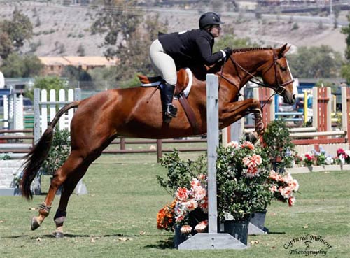 Chelsea Samuels 2013 USEF National Champion Adult Medal Photo Captured Moment Photography