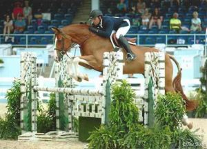 Nick Haness and Banderas owned by Ecole Nauber High Performance Hunter 2015 Devon Horse Show Photo The Book LLC