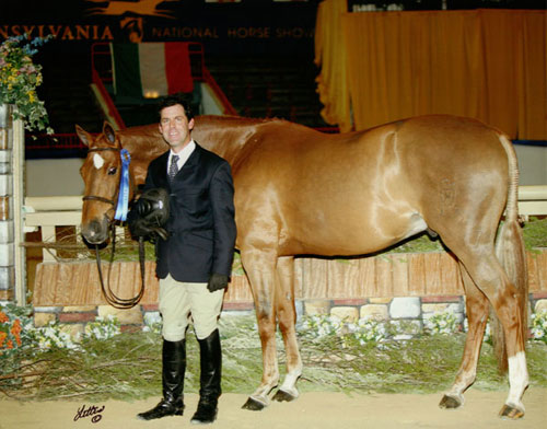 Peter Lombardo and Mandarin owned by Jane Fraze Regular Conformation Hunter 2008 Pennsylvania National Photo Anne K Gittens