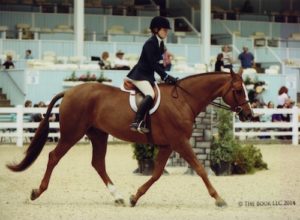 Hunter Siebel and Mountain Home Stables' Pure Abundance Large Junior Hunter 15 & Under 2014 Devon Horse Show Photo by The Book LLC