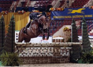 Laura Wasserman's Boss ridden by John French Reserve Champion Pregreen Hunter 2014 Pennsylvania National Photo Al Cook