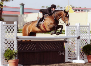 Teddi Mellencamp and Conversation Piece owned by Jessica Singer Regular Conformation Hunters 2010 Del Mar National Photo Osteen