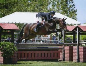 Virginia Fout and Toronto Low Amateur Owner Hunter 2014 Blenheim June Classic Photo Amy McCool