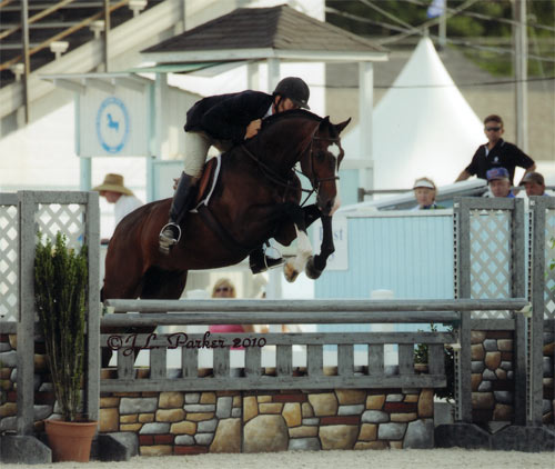 Archie Cox and Cullen owned by Annette Peterfy 1st Year Green Hunters 2010 Devon Horse Show Photo JL Parker