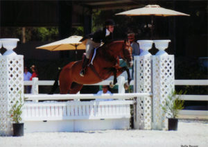 Harriet Posner and Corinna Winner Adult Hunter 2012 Menlo Charity Photo Bella Peyser