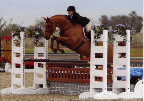 Ashley Pryde and Pringle Champion Small Junior Hunters 16-17 2010 HITS Desert Circuit IV Photo Flying Horse