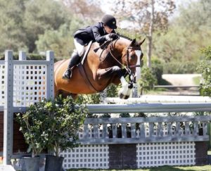 Laura Wasserman and Fine Design 2014 Blenheim Fall Tournament Reserve Champion Amateur/Owner Hunter Classic Photo by Captured Moment Photography
