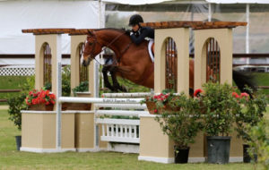 Lily Blavin and Montague Large Junior Hunter 15 and Under 2013 Blenheim Spring Photo G & G Equine