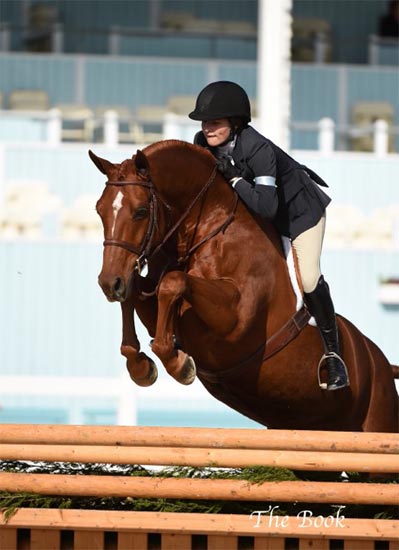 Lily Blavin and Pringle Small Junior Hunter 16-17 2014 Devon Horse Show Photo The Book LLC