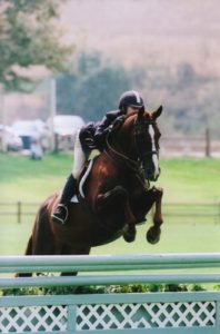 Lucy Davis and Galatea owned by Old Oak Farm Small Junior Hunters 2008 Oaks Blenheim Summer Photo Cathrin Cammett