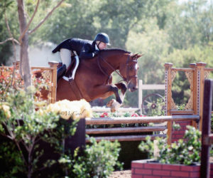 Virginia Fout and Cristiano Amateur Owner Hunter 2015 Blenheim June Classic Photo Amy McCool