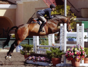 Joan Hasteltine and Biltmore PCHA Adult Equitation 2010 Del Mar National Photo Osteen