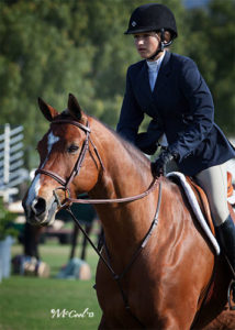 Lily Blavin and Montague Large Junior Hunter 15 and Under 2013 Blenheim Spring Photo Amy McCool