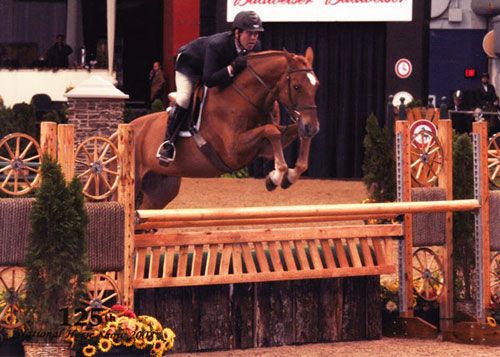 Peter Lombardo and Mandarin owned by Jane Fraze Regular Conformation Hunter 125th National Horse Show at Syracuse Invitational 2008 Photo Reflections