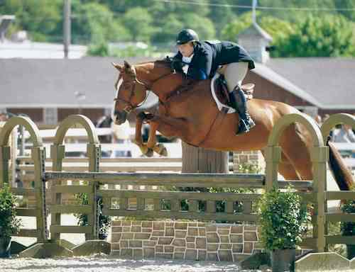 Chelsea Samuels and Adele 2014 Devon Horse Show Photo The Book LLC