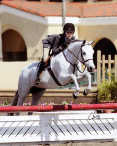 Skylar Nelson and Macy Grey owned by Wild Sky Farm Grand Champion Pony Hunters 2010 Del Mar National Photo Osteen