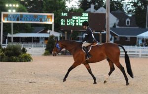 Lily Blavin and Montague Large Junior Hunter 16-17 2014 Devon Horse Show Photo The Book LLC