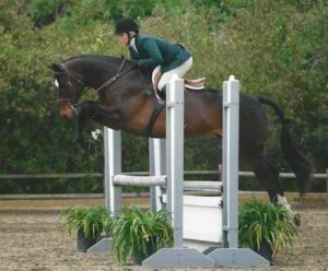 Karin Binz and Smitten Adult Hunter 36–50 2012 Oaks Blenheim Spring Photo Amy McCool