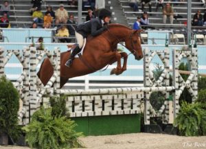 Lily Blavin and Pringle Small Junior Hunter 16-17 2014 Devon Horse Show Photo The Book LLC