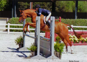 Lily Blavin and Pringle Childrens Hunter 2012 Menlo Charity Photo Bella Peyser
