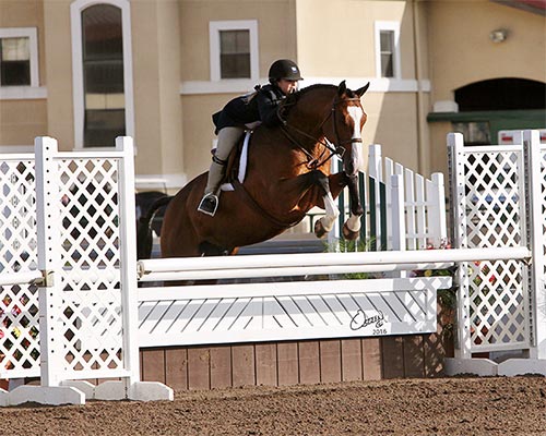 Fine Design and Stella Wasserman USHJA National Derby 2016 del Mar National Photo Osteen