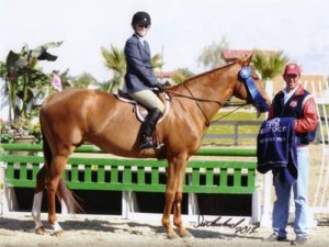 Karin Binz and Rock Royalty owned by Richard Boh Winner $1,500 HITS 3' Hunter Prix 2012 HITS Desert Circuit Photo Flying Horse