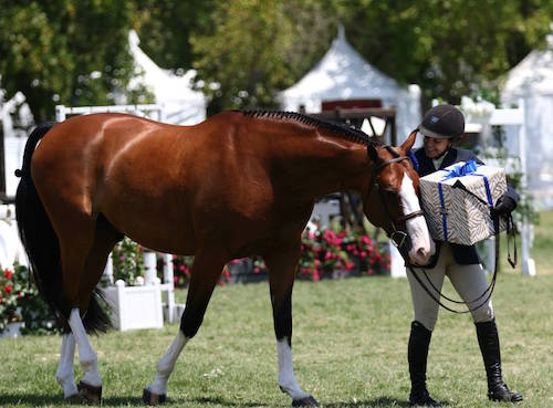 Laura Wasserman and Safari 2015 National Reserve Champion Amateur Owner Hunter