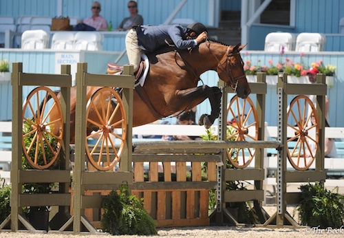 Laura Wasserman's Boss ridden by John French 1st Year Green Hunter 2015 Devon Horse Show Photo The Book LLC